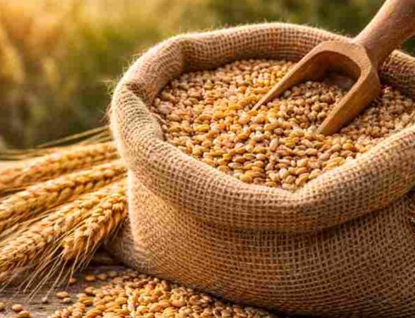 Sēklaudzētāji varēs paši drukāt produkcijas etiķetes