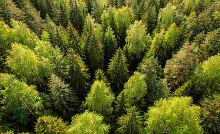 Nodokļu atvieglojumus speciālajās ekonomiskajās zonās pagarinās līdz 2050.gadam