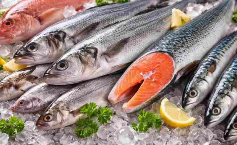 Jaunas ES prasības zivju importam no trešajām valstīm