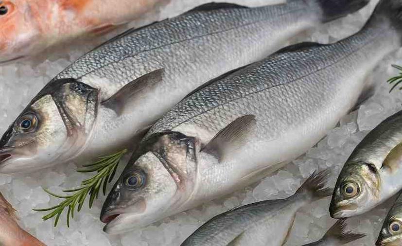 Šaubas par preferenciālā režīma pareizu piemērošanu zivīm no Senegālas